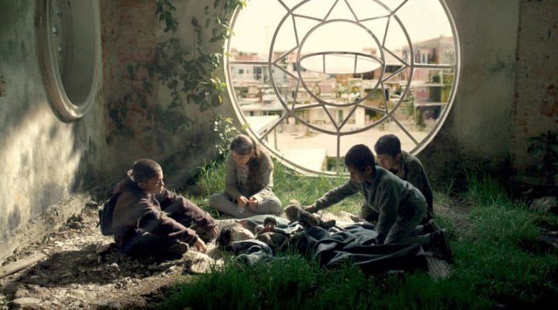 28 - Tigers Are Not Afraid