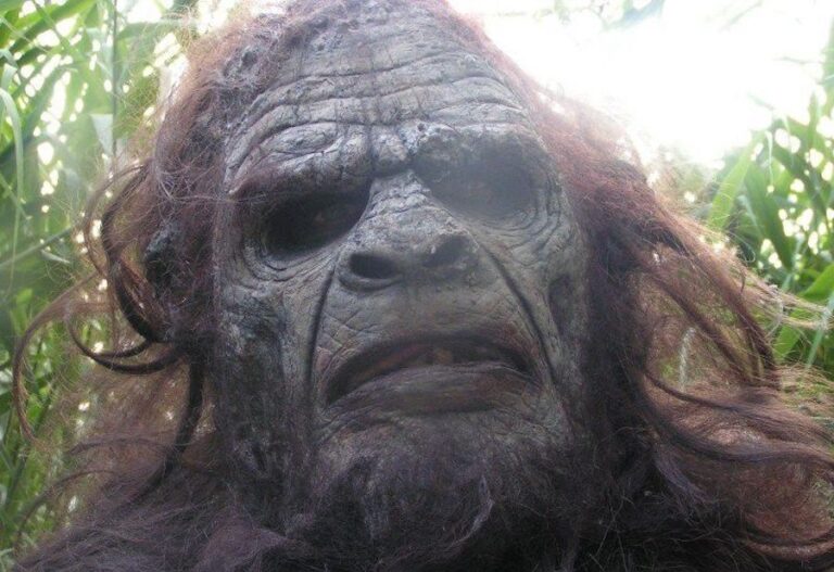 Review: BIGFOOT (2010)