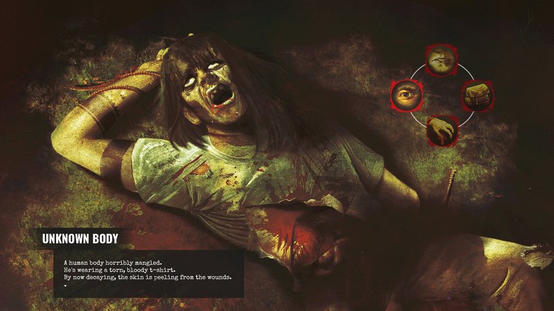 Borneo A Jungle Nightmare.jpg