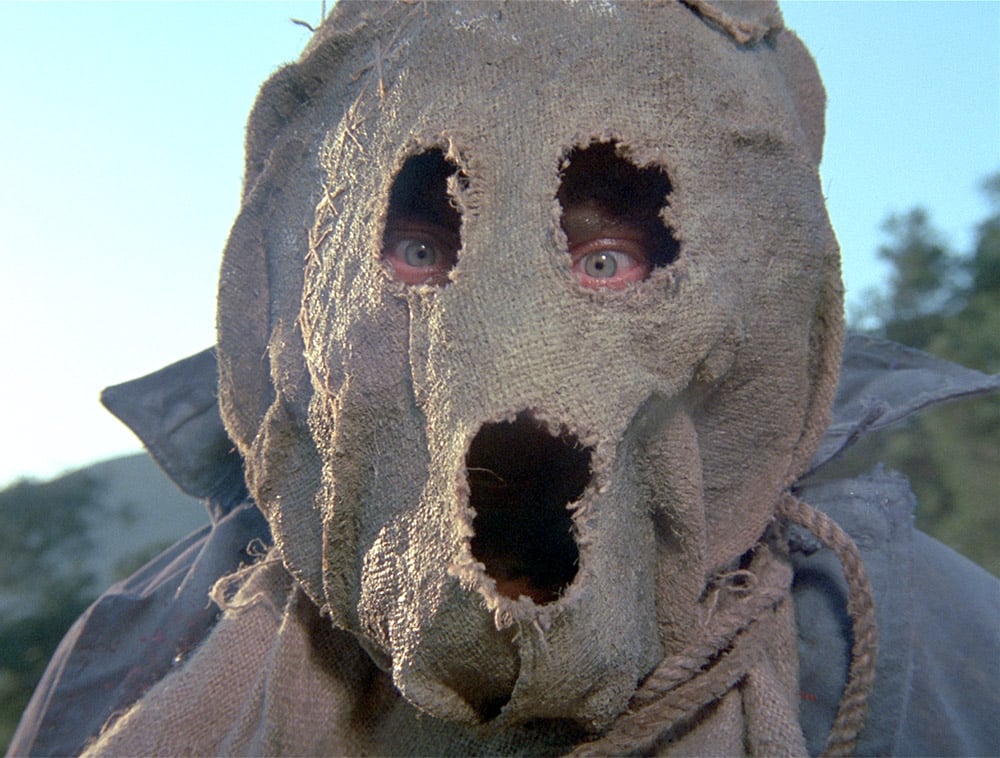 DARK NIGHT OF THE SCARECROW (Credit: Wizan Productions)