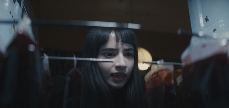 Humanist Vampire Seeking Consenting Suicidal Person