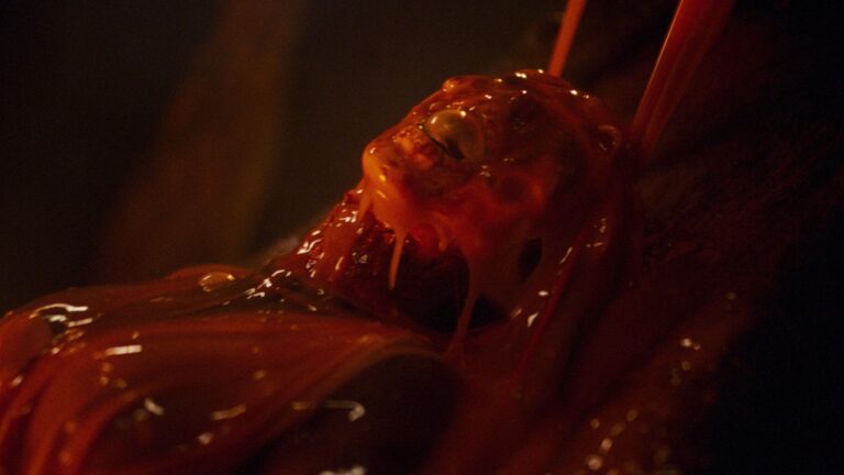 14 Horror Movies Streaming On Hulu This Month