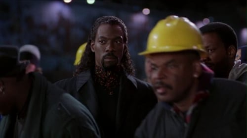 VAMPIRE IN BROOKLYN (1995)