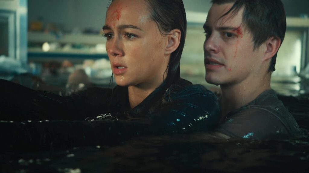 Bait 3D (2012)