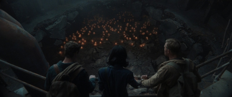 Monarch_Photo_010122