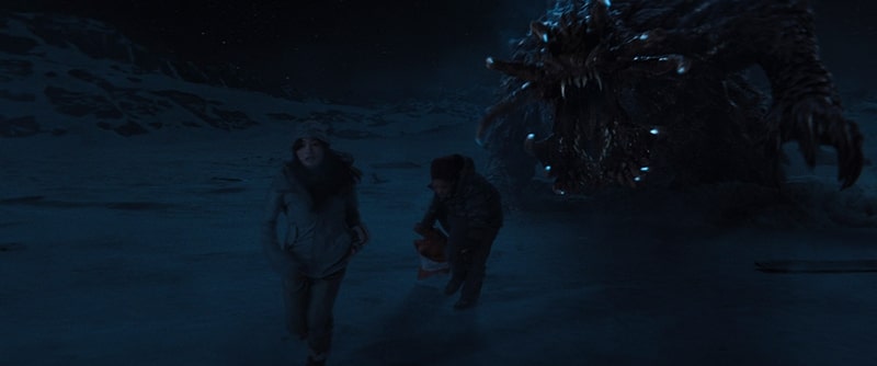 Monarch_Photo_010410