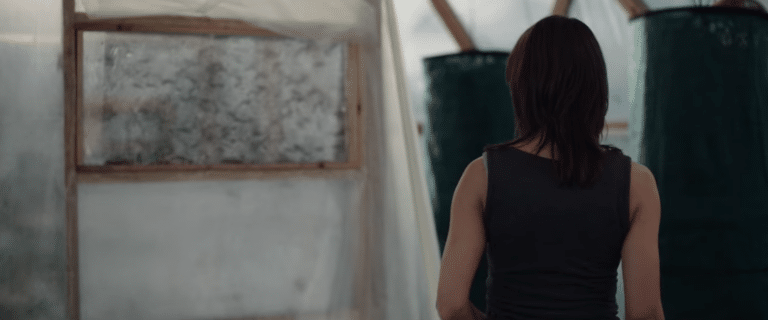 Watch The Trailer For New Netflix Horror: THE SWARM