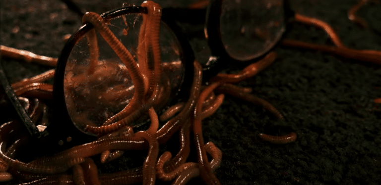 Watch “Worms” Music Video From Part Chimp