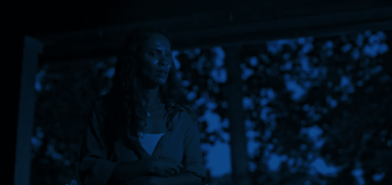 What Black Horror Has Been, And What It Can Be: Tananarive Due On Shudder’s HORROR NOIRE