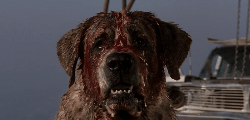 cujo.png
