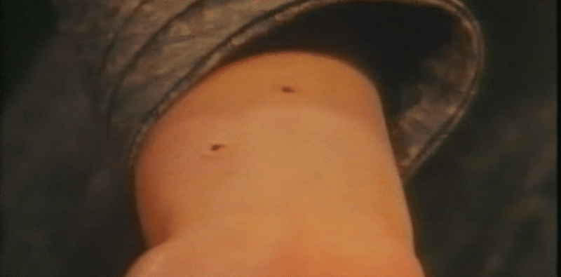 Screen Shot 2022-06-01 at 11.42.30 AM