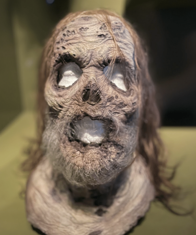 Screen Shot 2022-07-22 at 4.41.57 PM