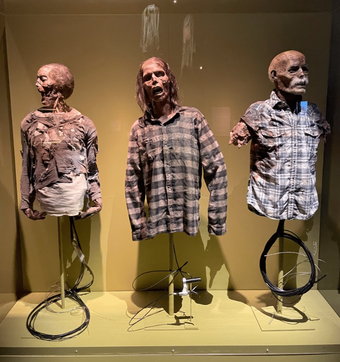 Screen Shot 2022-07-22 at 4.55.45 PM