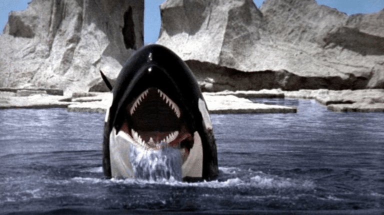 A Whale Of A Time: Revisiting ORCA THE KILLER WHALE