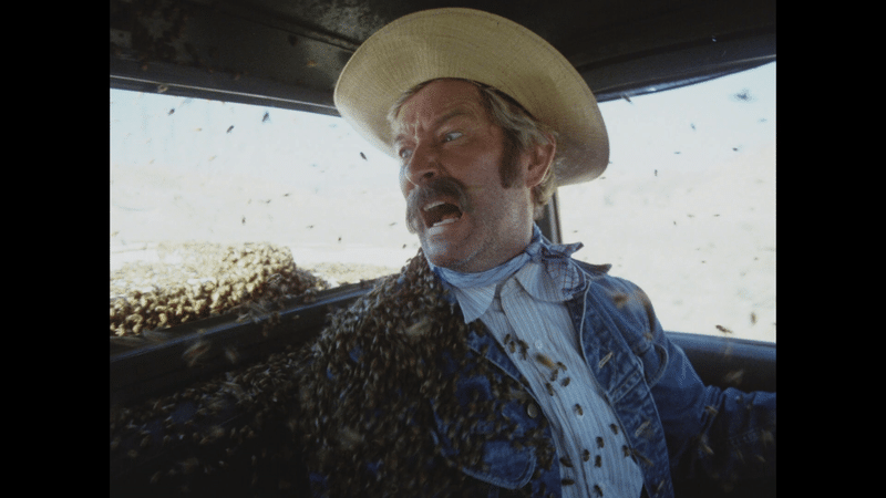 Terror Out of the Sky