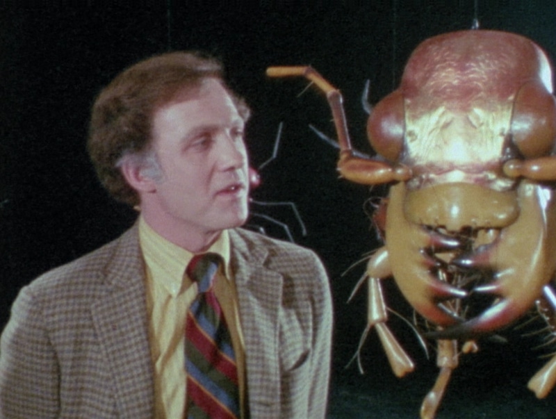 The Hellstrom Chronicle - 1