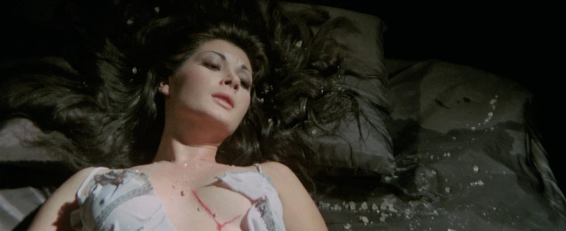 The Strange Vice of Mrs. Wardh.jpg