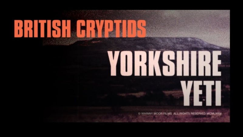 “Yorkshire Yeti”