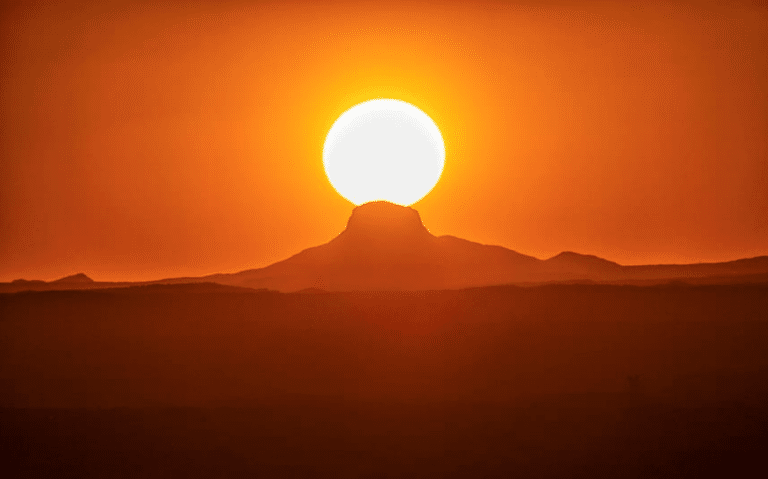 John Hillcoat Will Finally Bring BLOOD MERIDIAN To The Big Screen