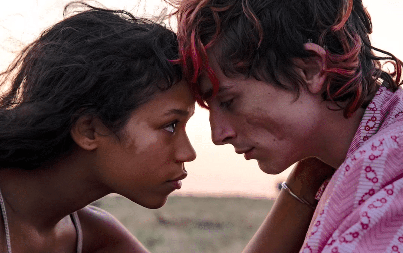 bones-and-all-header-new