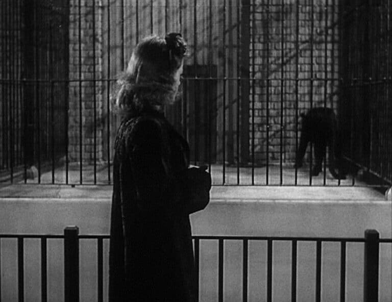 Be(ware) The Swallowing: Cats In THE BLACK CAT  And CAT PEOPLE