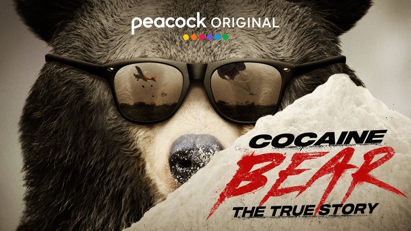 cocaine-bear-wide