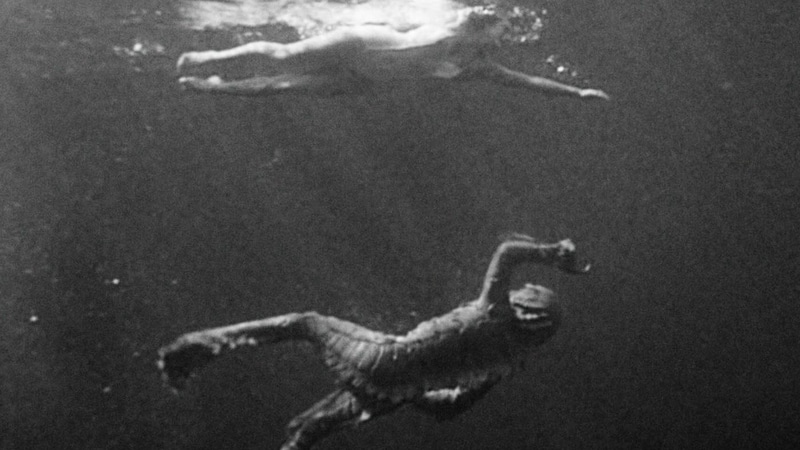 creature from the black lagoon swimming