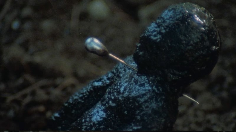 dont torture a duckling1