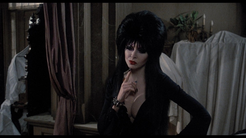 Elvira3.jpeg