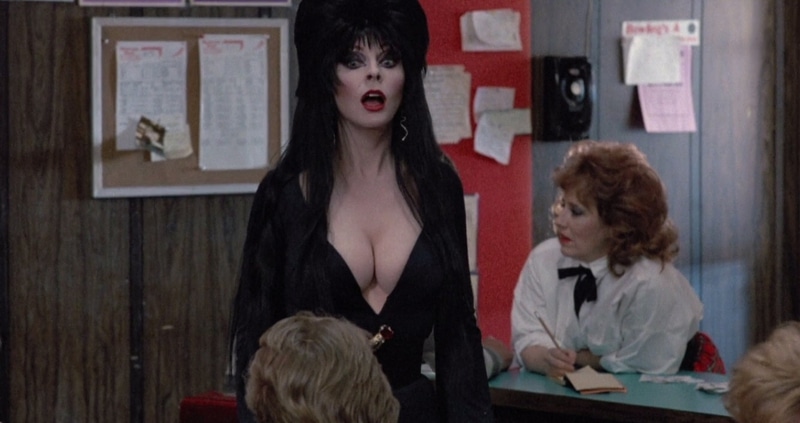elvira mistress of the dark