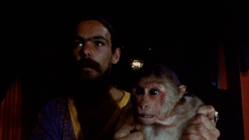 faces of death 1978 monkey brains
