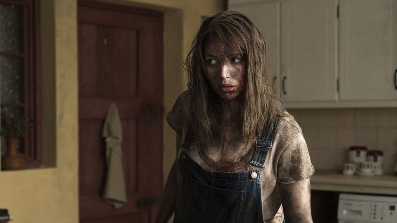 the hole in the ground