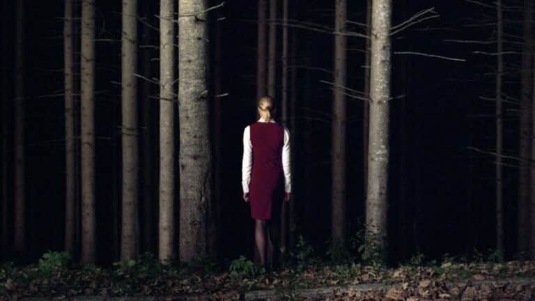 WILD WOMEN WITH STEAK KNIVES: HOTEL (Jessica Hausner, 2004)