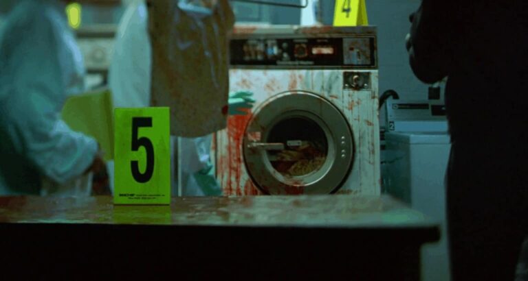 IN THE CUT: A Secret American Giallo Masterpiece