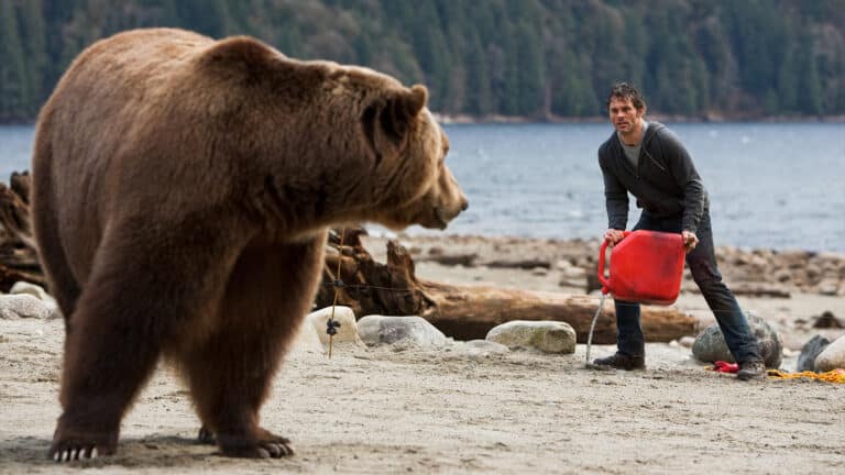 Review: INTO THE GRIZZLY MAZE