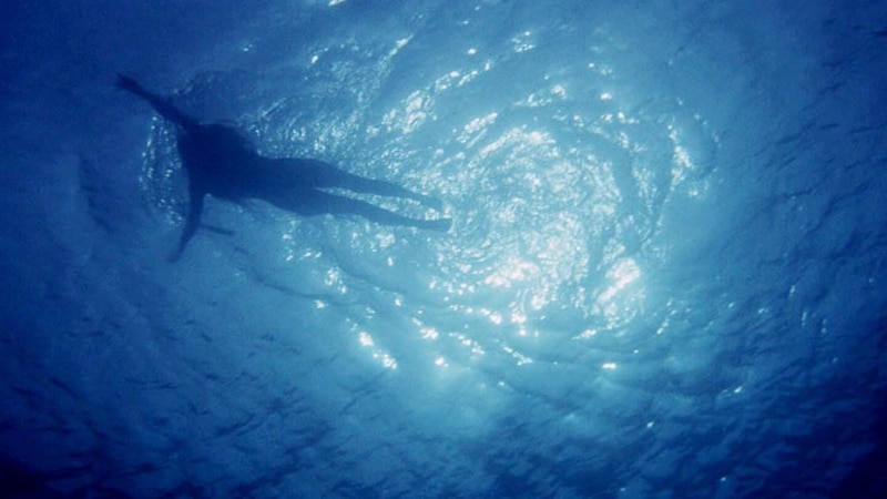 jaws-opening-scene-image