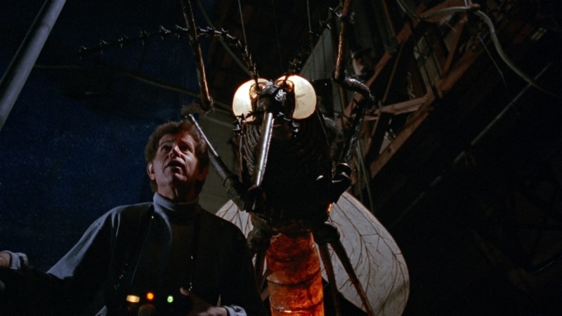 popcorn 1991 mosquito