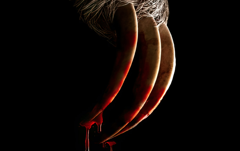 slotherhouse-header-1