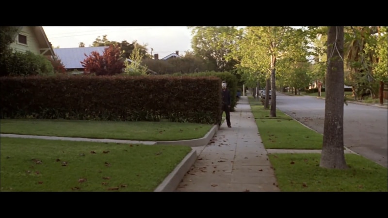 Halloween Michael Myers Hedge