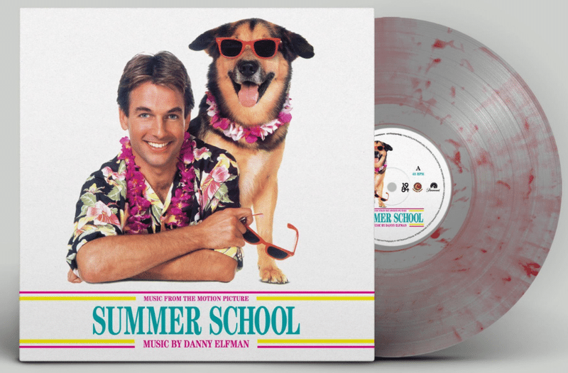summer-school-vinyl-wide