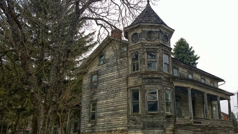 What Is THE OCCUPANT And Why Has It Sparked A Bidding War?