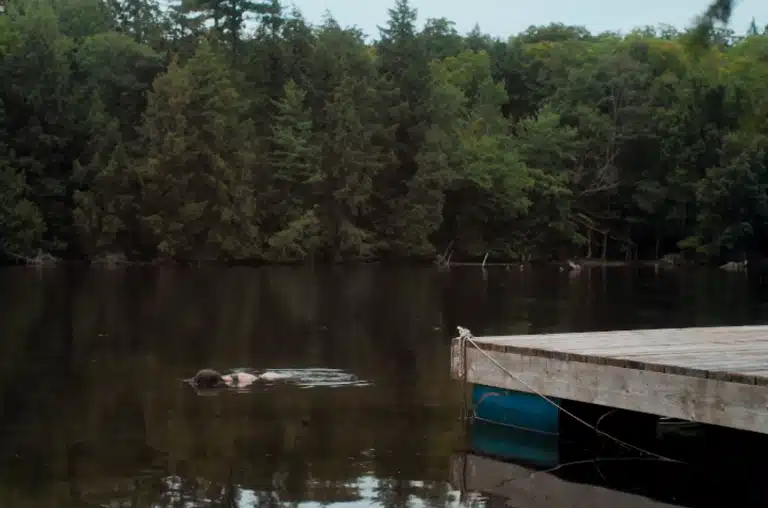 New IN A VIOLENT NATURE Teaser Gives Us A Glimpse At A Gnarly Kill