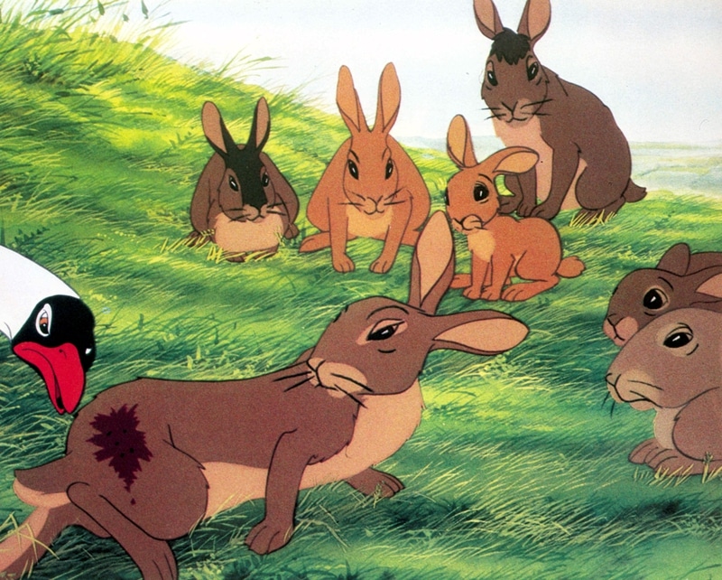 watership down wounded