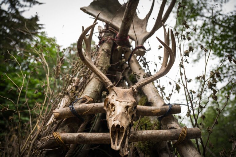 Rejoice – YELLOWJACKETS Season 3 Is Officially In Production