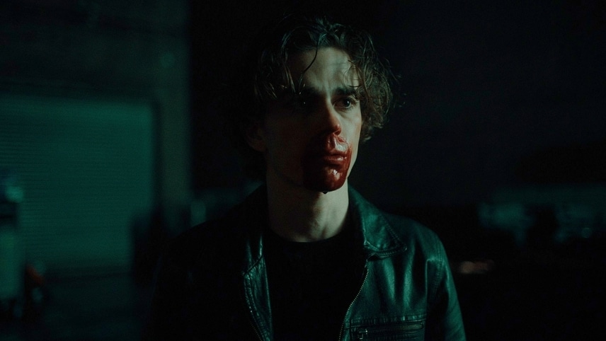 Thijs Bouman's WE ARE ANIMALS