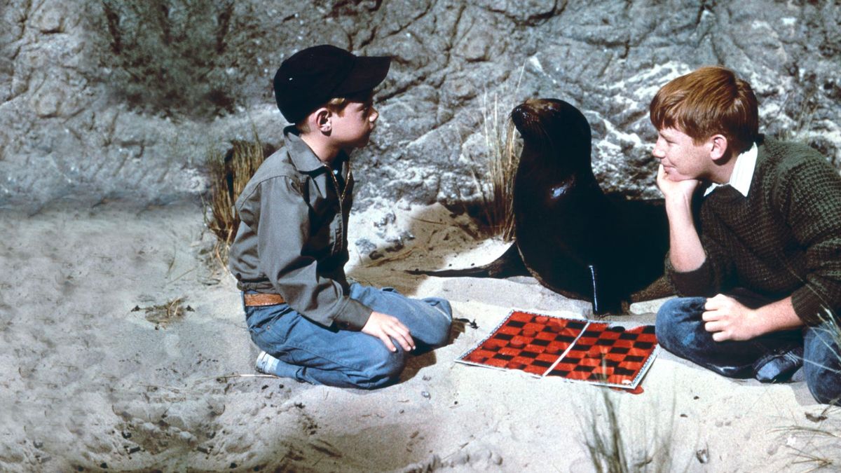 SAMMY THE WAY OUT SEAL