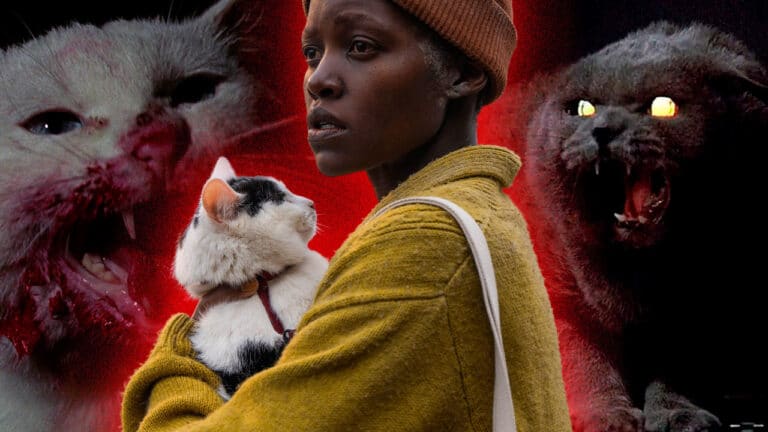 cats in horror movies