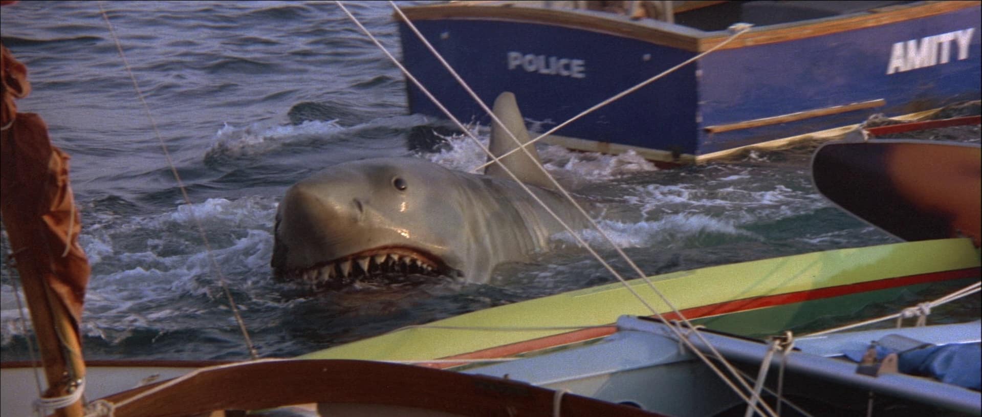 jaws 2 shark movies 