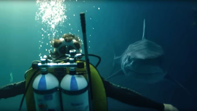 Xavier Gens’ Shark Horror UNDER PARIS Scares Up A Sequel