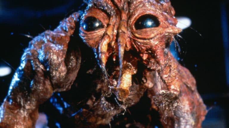 THE FLY Movie In The Works From NANNY’s Nikyatu Jusu